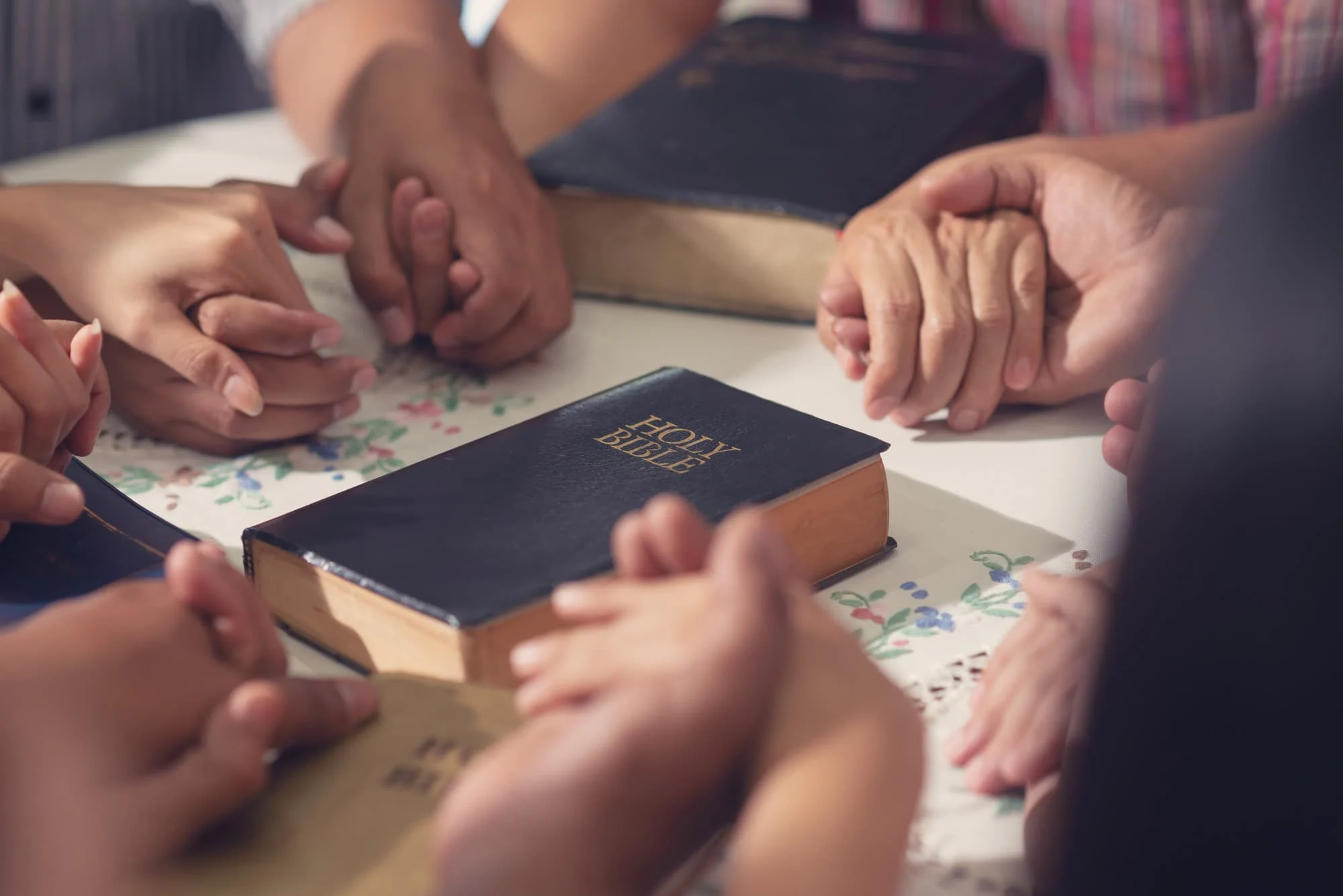 Bible Studies banner